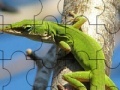 Oyunu Chameleon On The Tree: Puzzle
