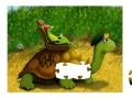 Oyunu Turtle Taxi