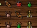 Oyunu Insect Crush