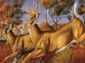 Oyunu Runner deers slide puzzle