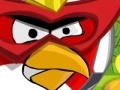Oyunu Angry Bird protect home