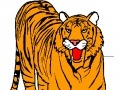 Oyunu Tiger Coloring