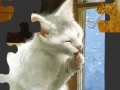Oyunu White Cat