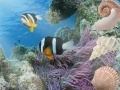 Oyunu Aquatic Interactive 