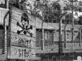 Oyunu Auschwitz Birkenau