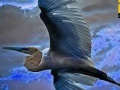 Oyunu Flying Blue Stork: Puzzle