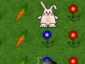 Oyunu Bunny Run