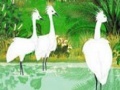 Oyunu Fabulous birds in the river puzzle