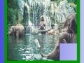 Oyunu Elephants in the sea slide puzzle