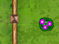 Oyunu Garden Match