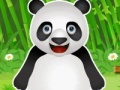Oyunu Panda Pet Care