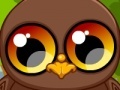 Oyunu Cute owl
