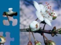 Oyunu White Flower Jigsaw