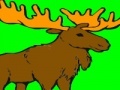Oyunu Deer coloring game