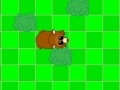 Oyunu Bear IQ