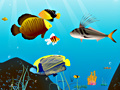Oyunu Water World