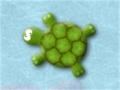 Oyunu Dizzy Turtle