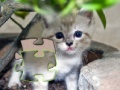 Oyunu Jigsaw: Happy Kitty