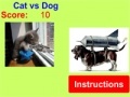Oyunu Cat vs Dog!