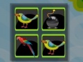 Oyunu Bomb Memory-Birds