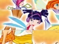Oyunu WinX Sliding Puzzle