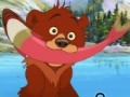 Oyunu Brother Bear Spot the Difference