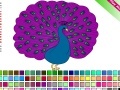 Oyunu Peacock Coloring