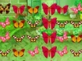 Oyunu Butterfly Match