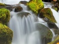 Oyunu Forest Waterfalls