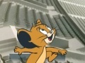Oyunu Tom and Jerry - road to Rio