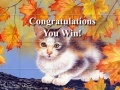 Oyunu Art Kittens Puzzles 2