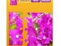 Oyunu Bougainvillea Jigsaw