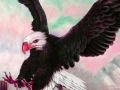 Oyunu Wild acrobat eagle puzzle