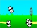 Oyunu Panda Bounce