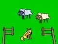 Oyunu Sheep!