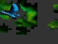 Oyunu Butterfly Puzzle