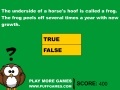 Oyunu Useless Animal Facts