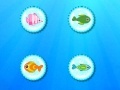 Oyunu Color Fish Quest