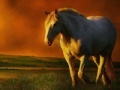 Oyunu The horse at Sunset