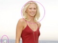 Oyunu Sexy Celebrity Photo Hunt