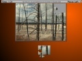 Oyunu Burned Trees Moving Jigsaw
