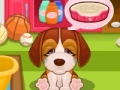 Oyunu Cute Puppy Care