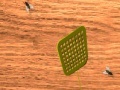 Oyunu Fly Swatter