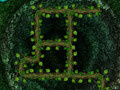 Oyunu Root Your Way