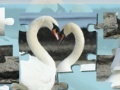Oyunu Valentine Swans