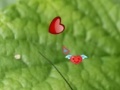 Oyunu Hidden Nature Hearts