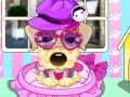 Oyunu Pampered Dog Salon