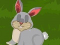 Oyunu Dora Rabbit Care