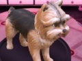 Oyunu Barbie: Groom and Glam Pups