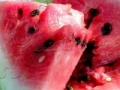 Oyunu Watermelon